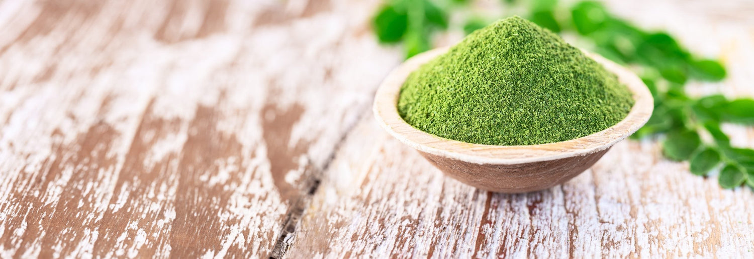 Moringa: A Key Ingredient in Immune IQ
