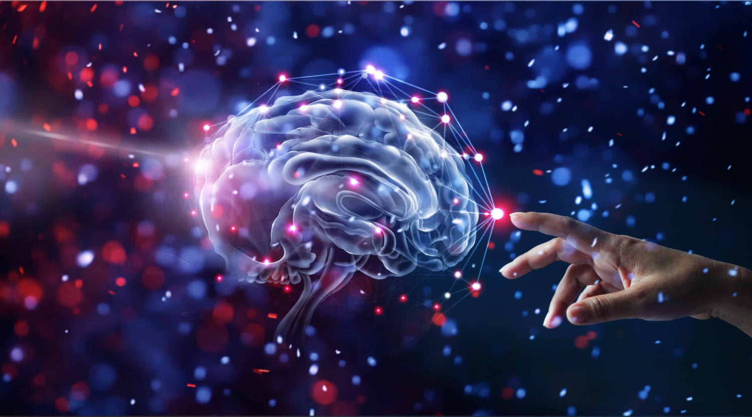 The Complete Brain Building Formula